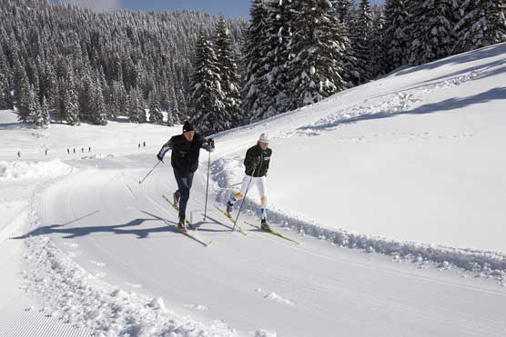 Gallio (Vi), località Campomulo, Piste sci di fondo.